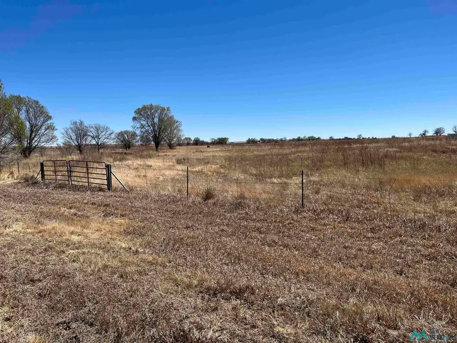 Highway 58 Street, Springer, NM 87747 - #3