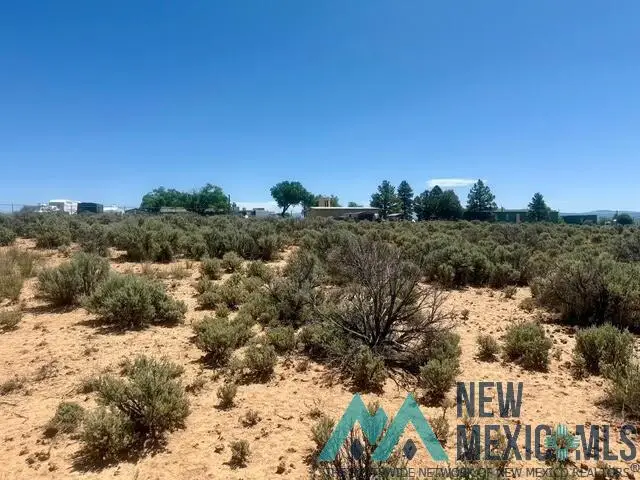 3231 Nm 112 Highway, Tierra Amarilla, NM 87575 - #2