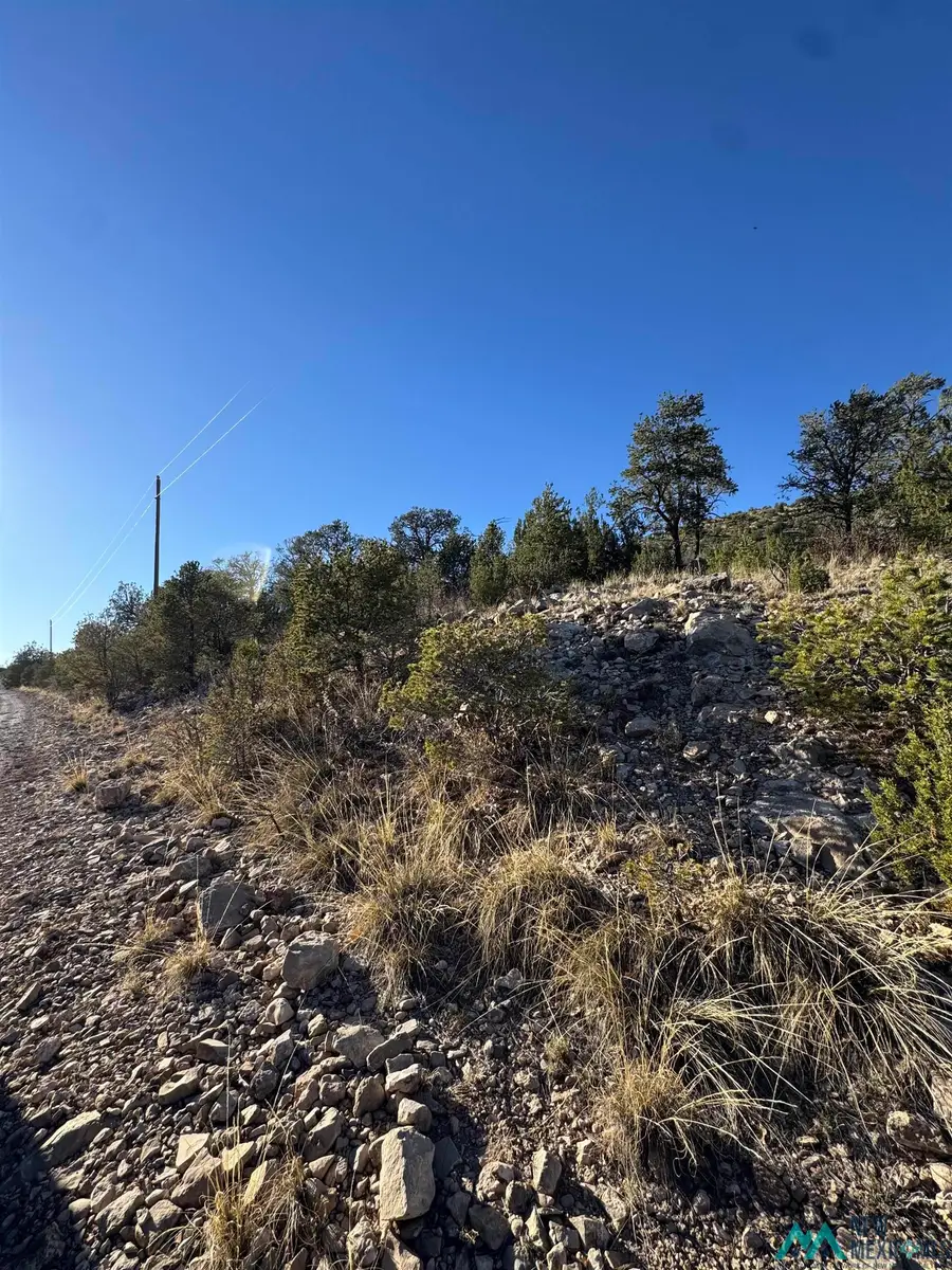 Lot 80 Longfellow Road, Timberon, NM 88350 - #2