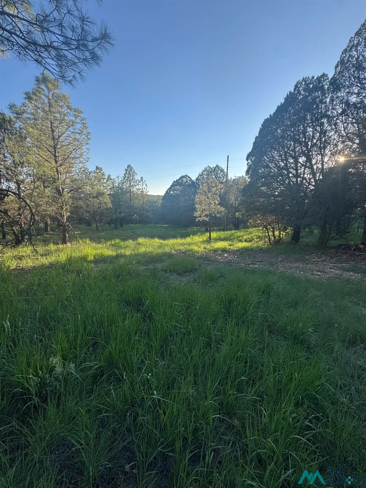 Lot 12 & 19 Rio Pinar Drive, Timberon, NM 88350 - #1