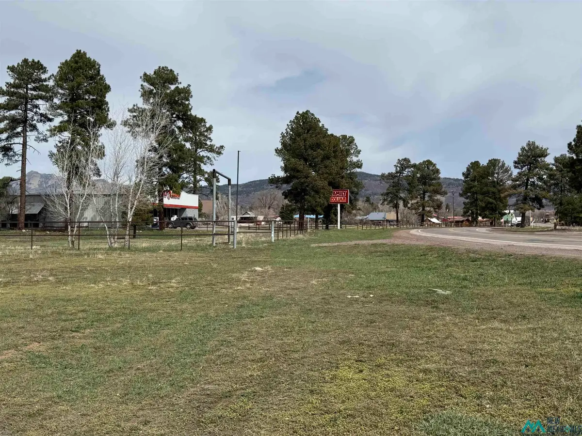 1000 N Nmsr 17 Road, Chama, NM 87520 - #1