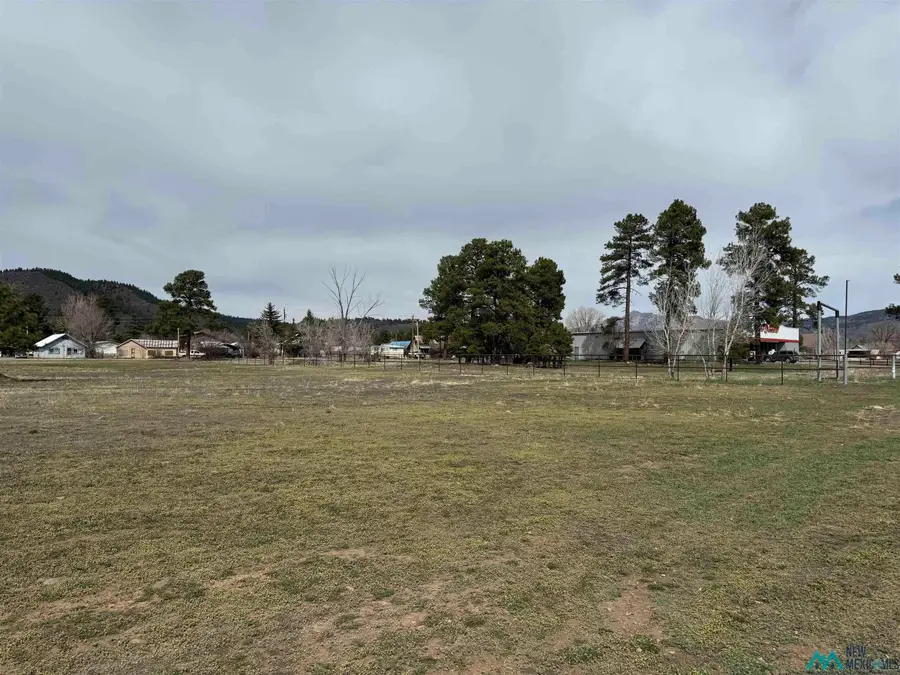 1000 N Nmsr 17 Road, Chama, NM 87520 - #3