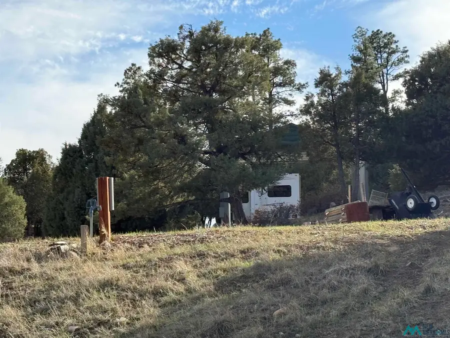 64 Pd 1783c Road, Chama, NM 87520 - #3