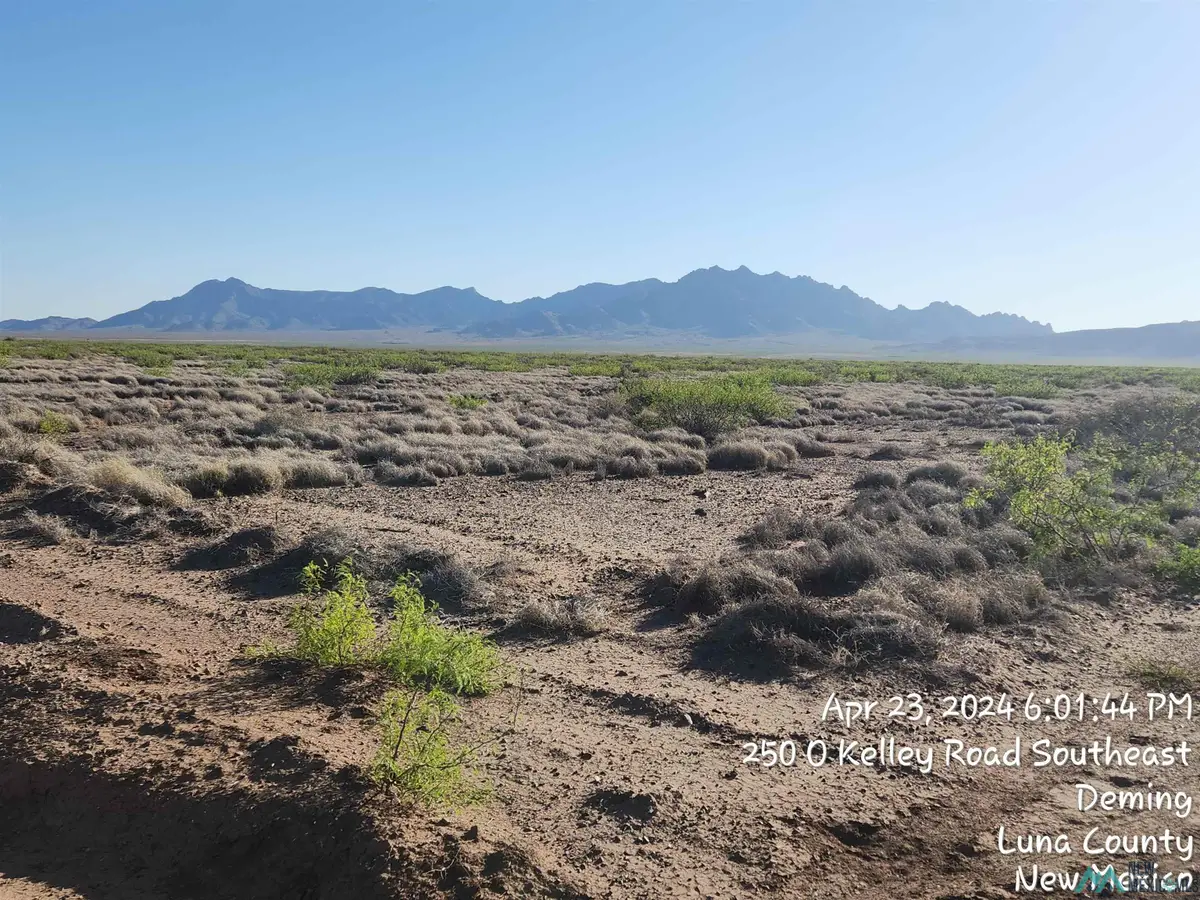 00 Country Ln Lane, Deming, NM 5 - #1