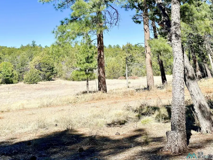 30 S Verga Drive, Tijeras, NM 87059 - #3