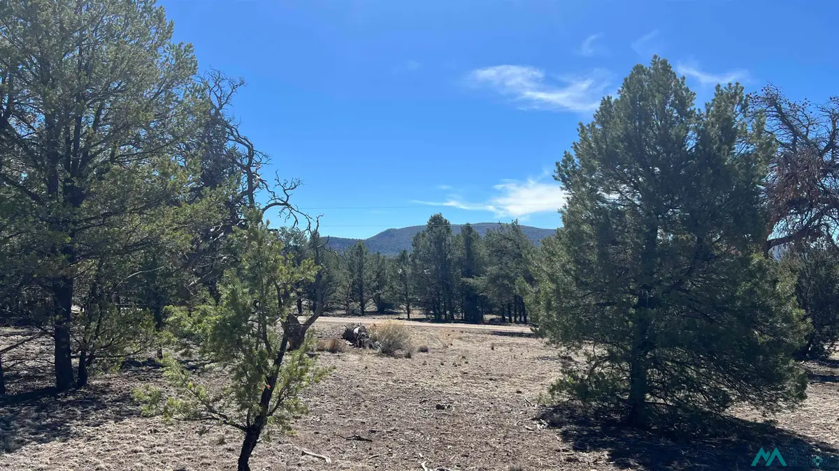 12 Elk View Circle Road, Quemado, NM 87829 - #1