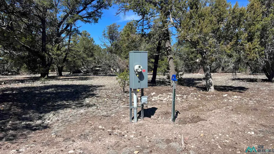 12 Elk View Circle Road, Quemado, NM 87829 - #2