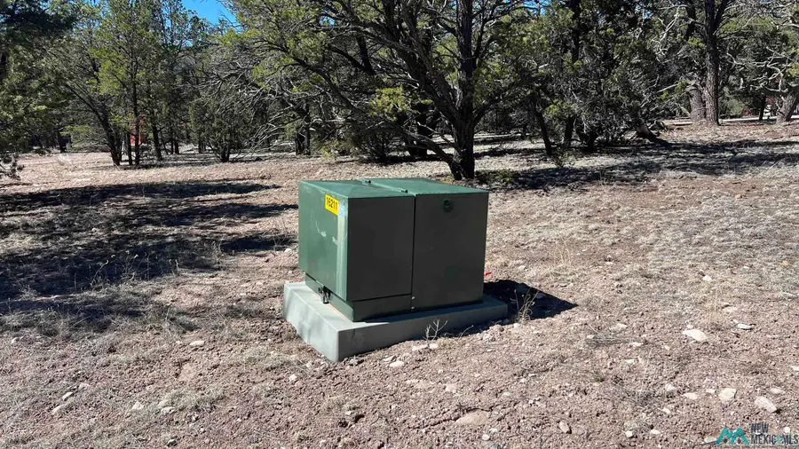 12 Elk View Circle Road, Quemado, NM 87829 - #3