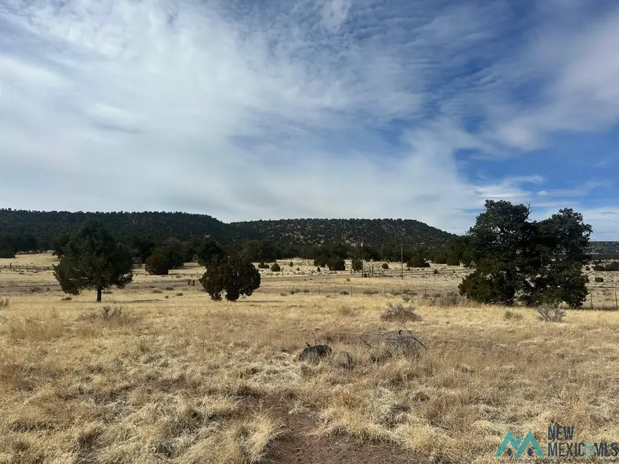 19 Cedar Lane, Quemado, NM 87829 - #2