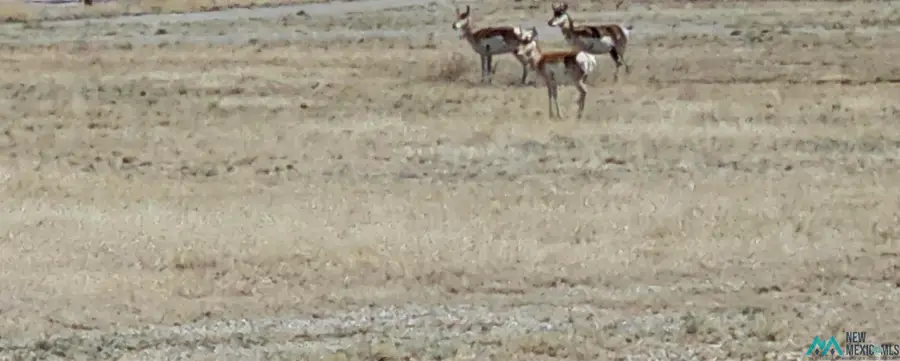 76 Mistico Lane, Roswell, NM 88201 - #2