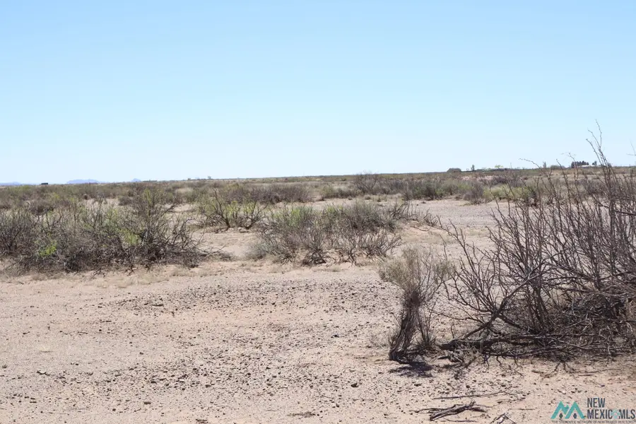 Monte Vista Rd Se, Deming, NM 88030 - #2
