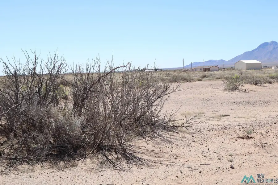 Monte Vista Rd Se, Deming, NM 88030 - #3