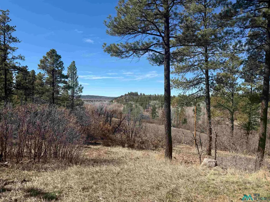 101 Oak Meadow Dr Drive, Chama, NM 87520 - #2