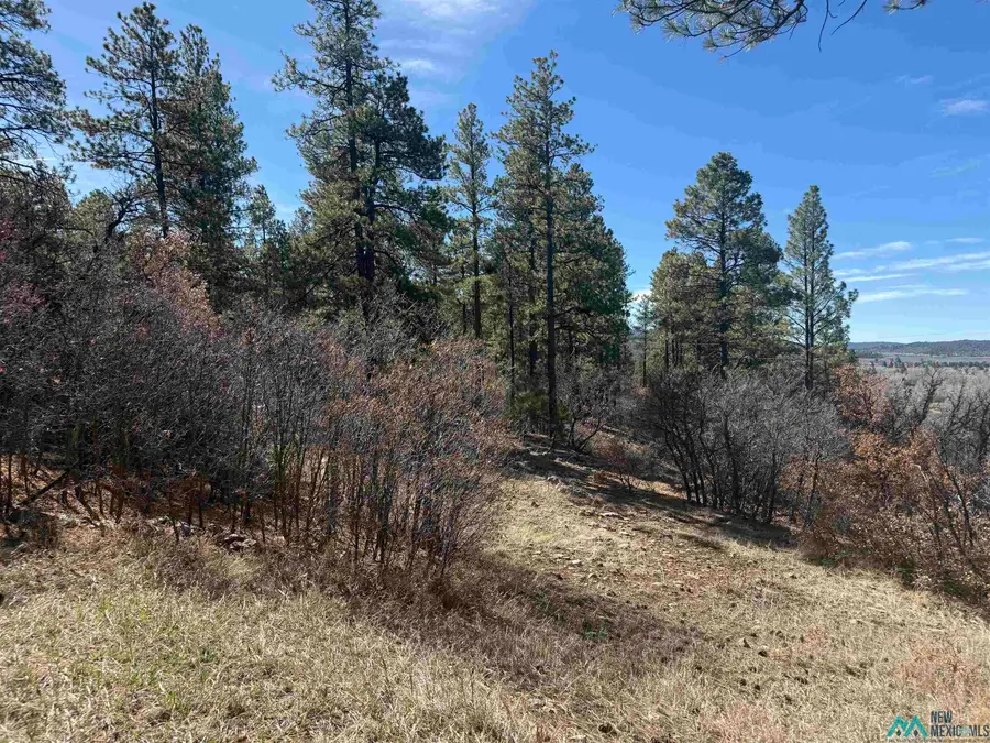 101 Oak Meadow Dr Drive, Chama, NM 87520 - #3