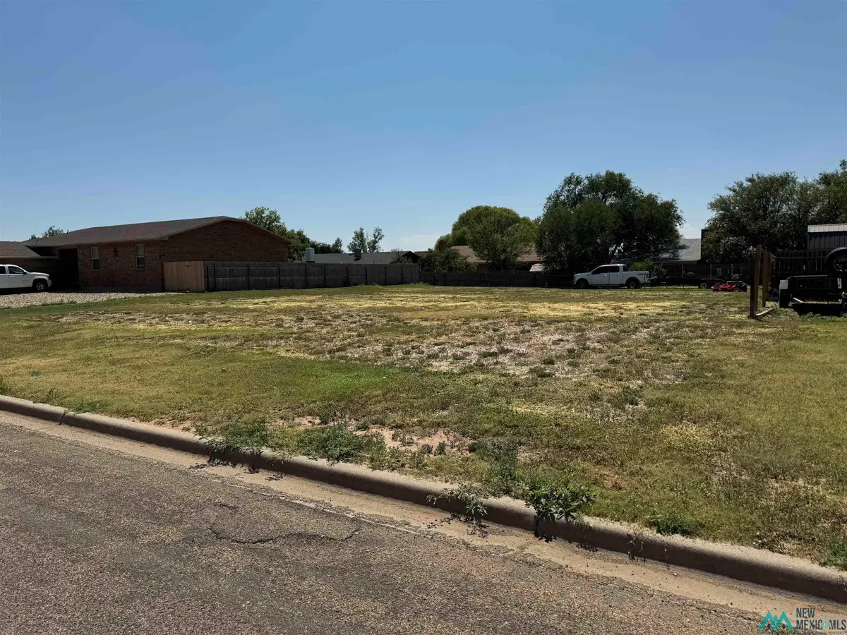 1516 Lexington Road, Clovis, NM 88101 - #1