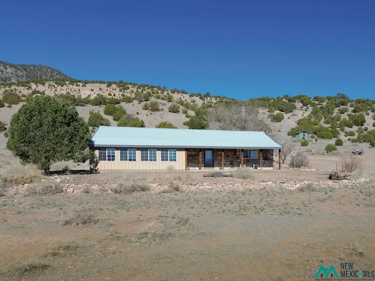 7303 Bursum Road, Datil, NM 87821 - #1
