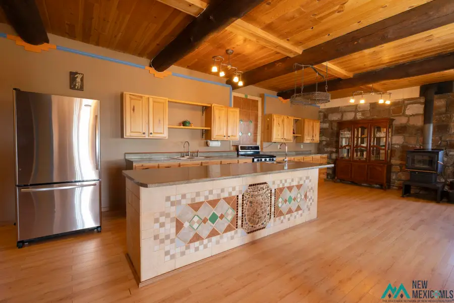 7303 Bursum Road, Datil, NM 87821 - #2