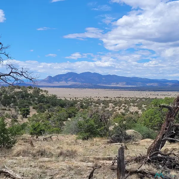 XX Lookout Loop, Datil, NM 5