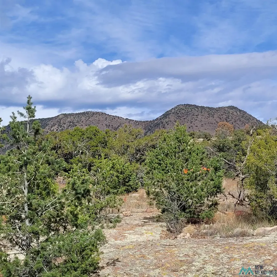 XX Lookout Loop, Datil, NM 5 - #2