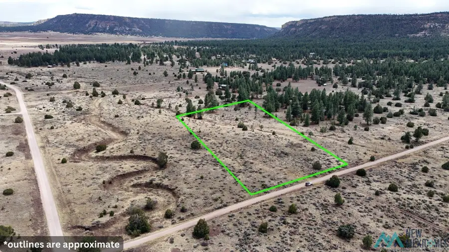 8 E Lobo Road, Ramah, NM 87321 - #3