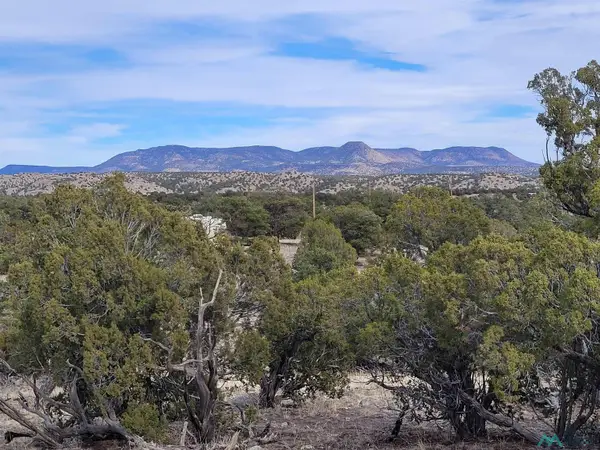 47 Cougar Run, Datil, NM 5