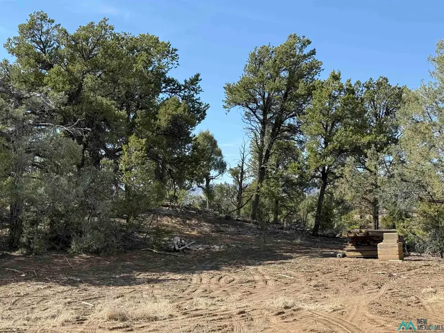 0 Christy Lane Lane, Los Ojos, NM 87551 - #3