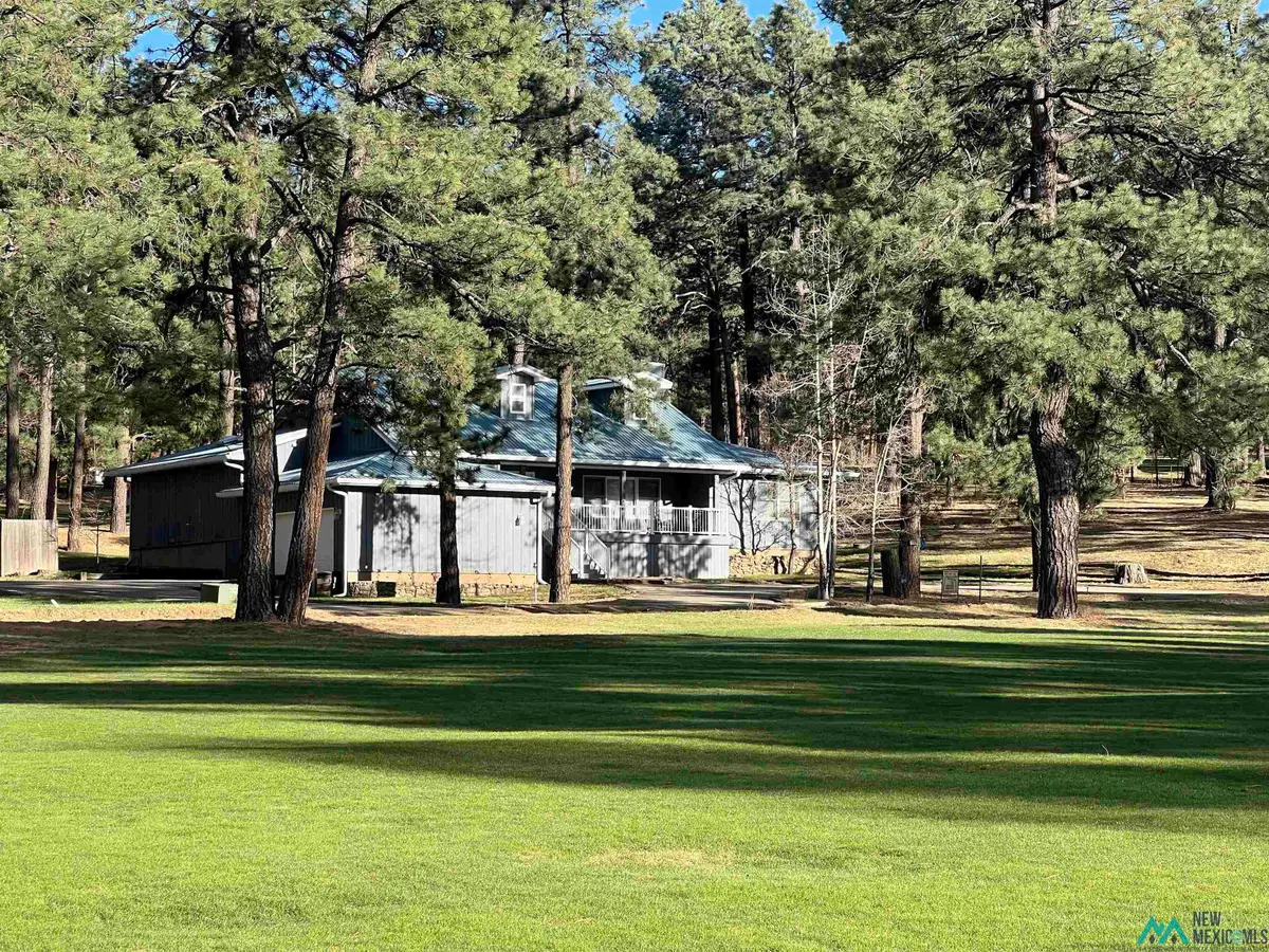 15 Golf Drive, Rociada, NM 5 - #1