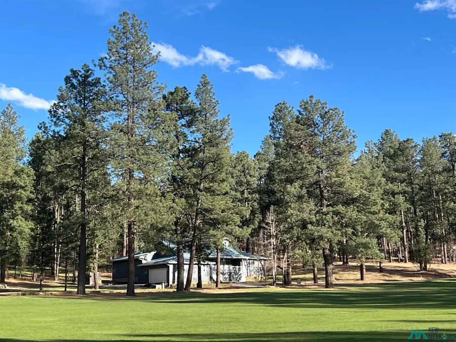 15 Golf Drive, Rociada, NM 5 - #2