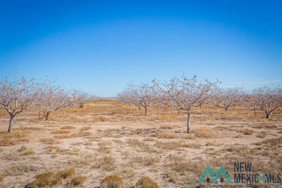 353 N Red Bridge Road, Roswell, NM 88201 - #3