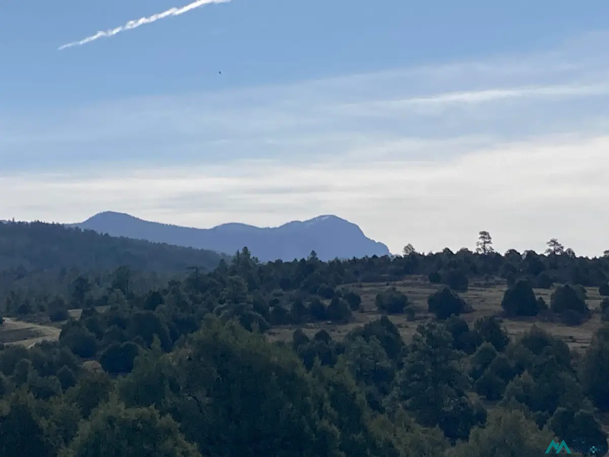 TBD Cr 341, Chama, NM 87520 - #1