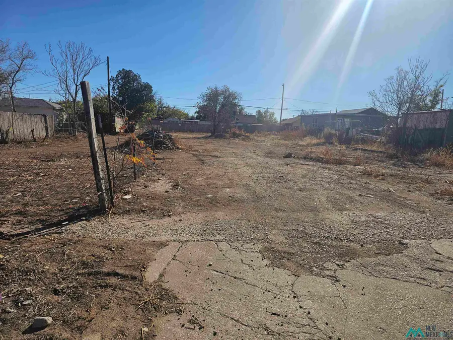 1005 W Fox Street, Carlsbad, NM 5 - #2