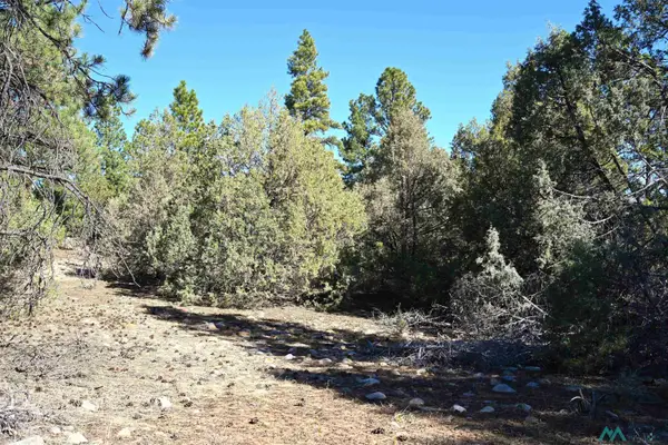 00 Nm Sr 64 Highway, Tierra Amarilla, NM 87575