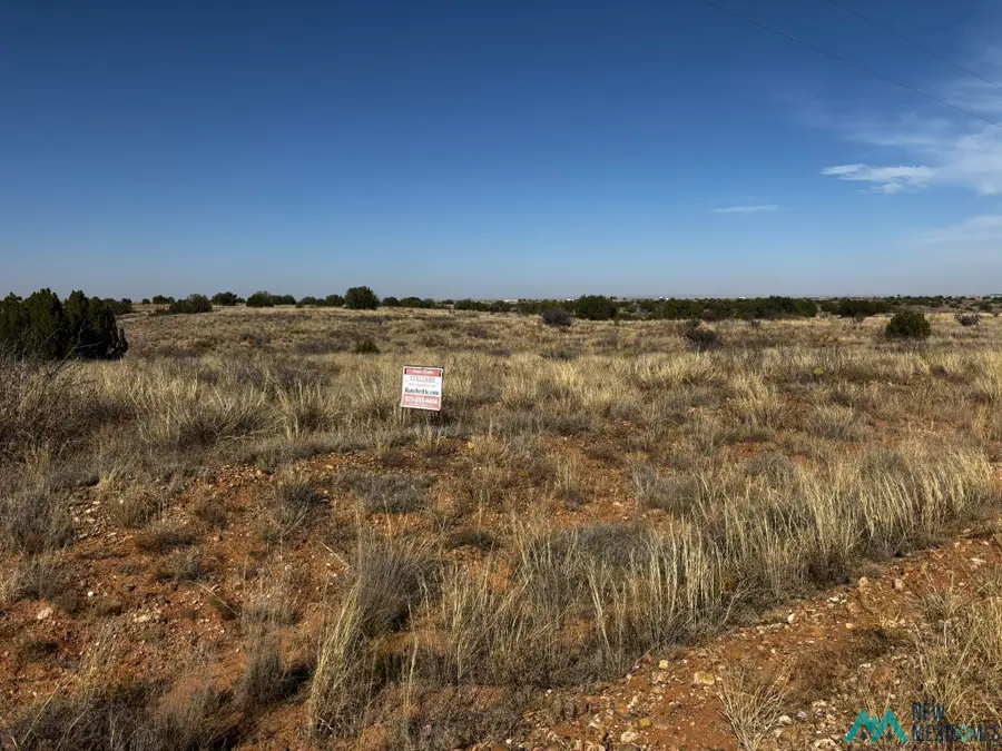 Sunset Place, Fort Sumner, NM 88119 - #2