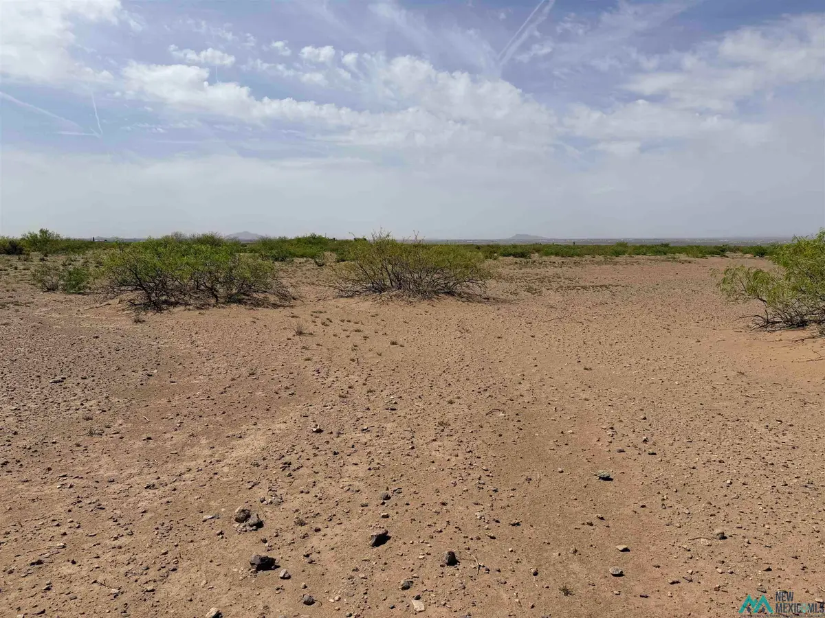 XXXX Needles Eye Rd Se, Deming, NM 88030 - #1
