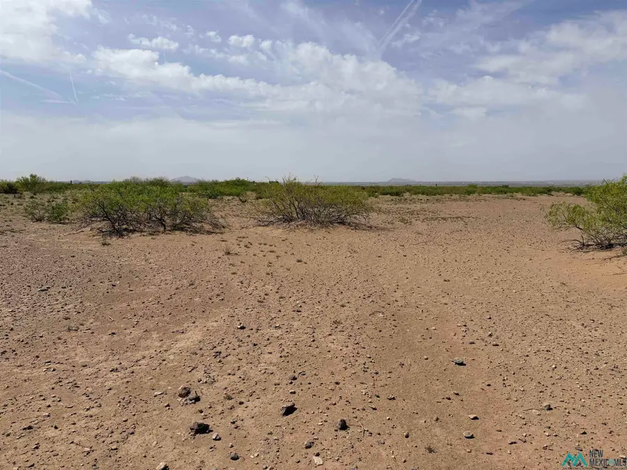 XXXX Needles Eye Rd Se, Deming, NM 88030 - #3