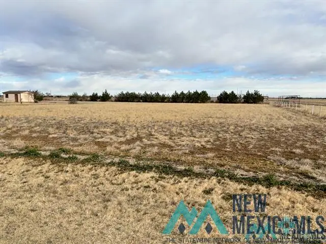 000TBD S Roosevelt Road 6 Road, Portales, NM 88130 - #1