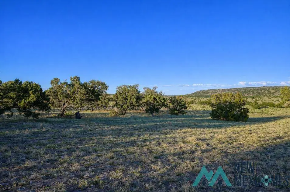 158-A Deer Circle Road, Quemado, NM 87829 - #1