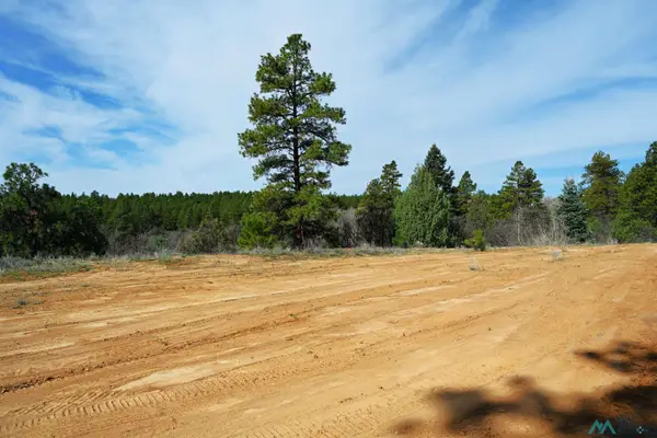 6 Badger Road, Chama, NM 87520