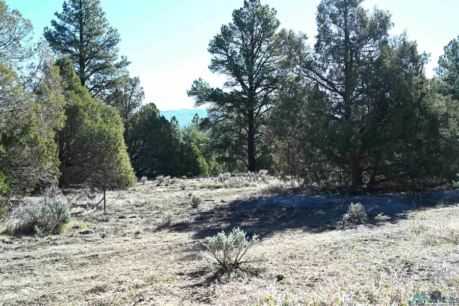 6 Badger Road, Chama, NM 87520 - #2