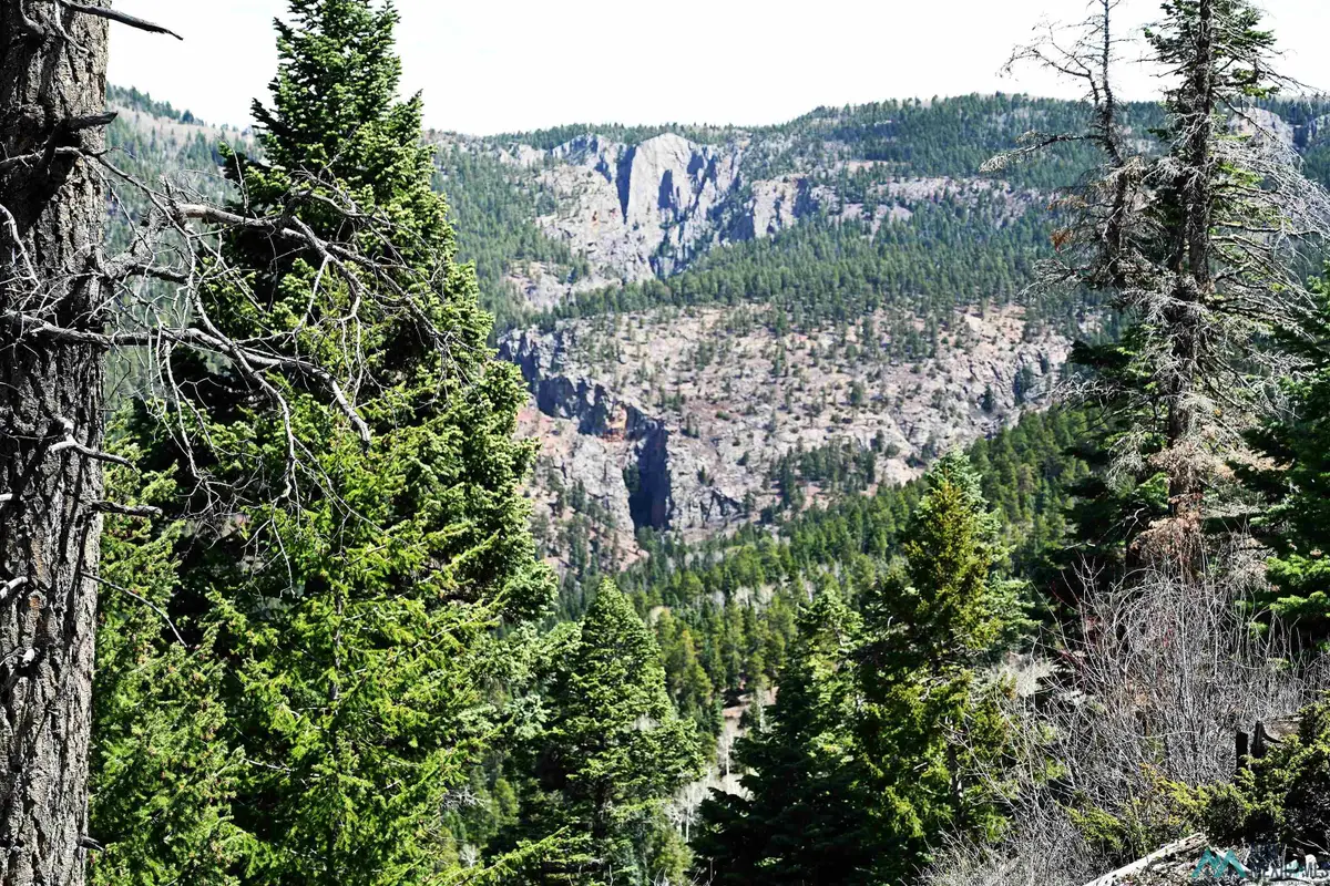 00 Ticonderoga Dr Drive, Chama, NM 87520 - #1