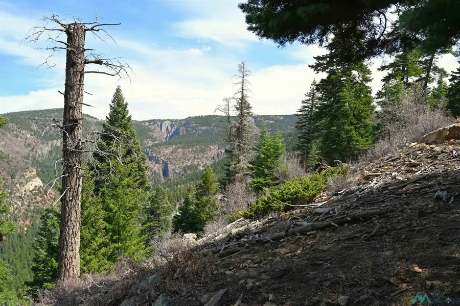 00 Ticonderoga Dr Drive, Chama, NM 87520 - #2