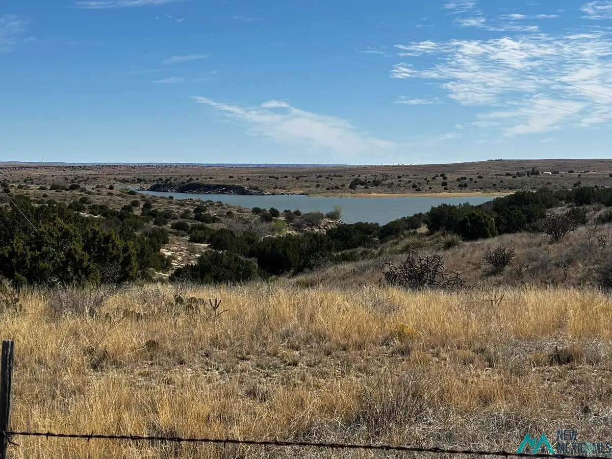 Sr 203 Highway, Fort Sumner, NM 88119 - #1