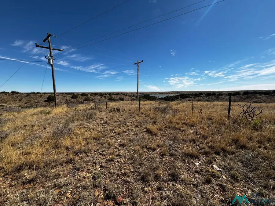 Sr 203 Highway, Fort Sumner, NM 88119 - #2