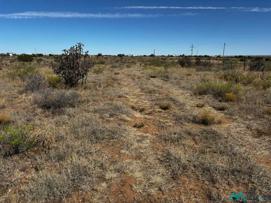 Sr 203 Highway, Fort Sumner, NM 88119 - #3