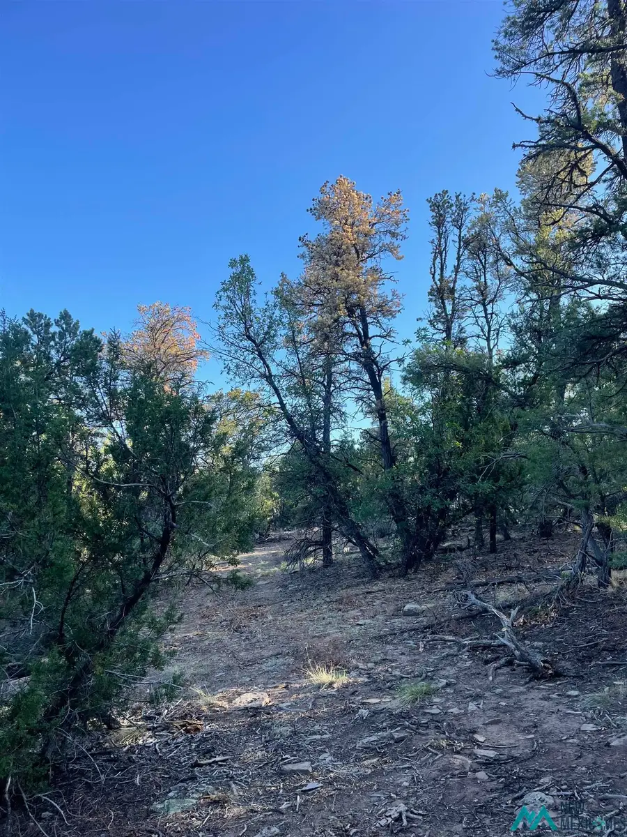 Address Withheld By Seller, Ramah, NM 87321 - #3