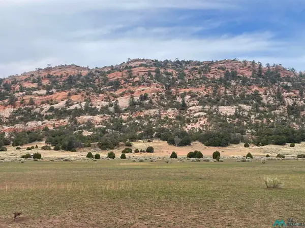 TBD Box S Ranch Road, Ramah, NM 87321