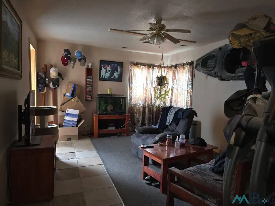 1033 N Mesa Street, Carlsbad, NM 88220 - #2