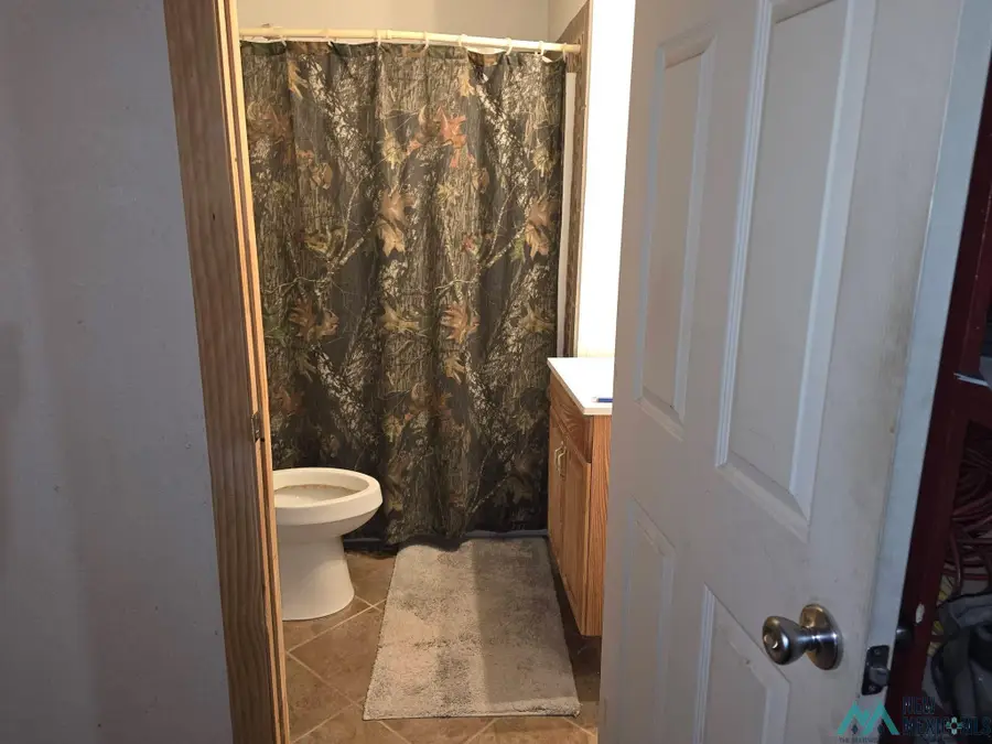 1033 N Mesa Street, Carlsbad, NM 88220 - #3