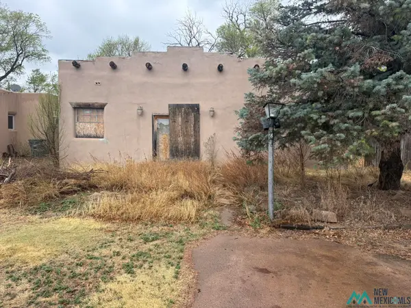 1319 4th Street, Las Vegas, NM 87701