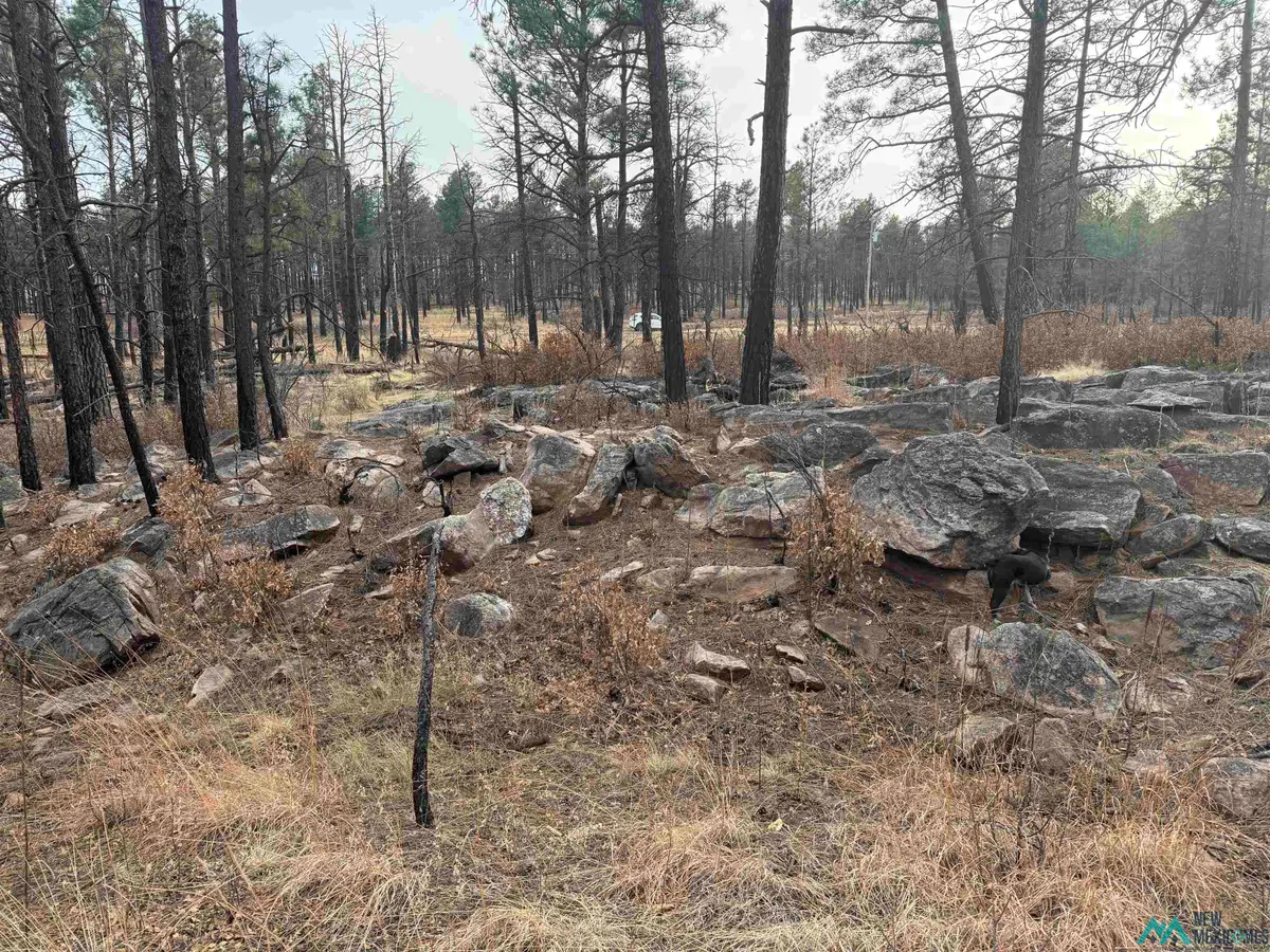 5.28 Acres Cabo Lucero Road, Las Vegas, NM 87701 - #1